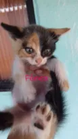 Não tem nome 