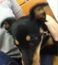 Nina