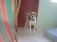RALF