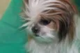 BABI