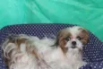 BABI