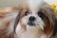 BABI