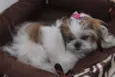 BABI