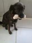 Mel