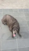 Cotoco