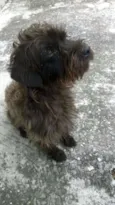 Coquinho