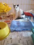 Fred
