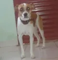 RALF