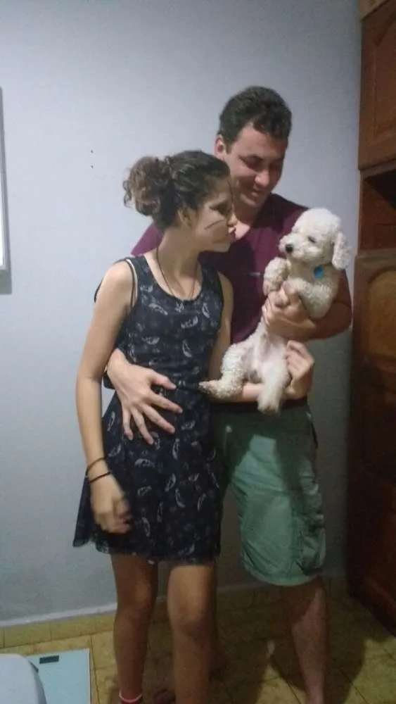 Cachorro ra a Poodle idade 2 anos nome BOBY