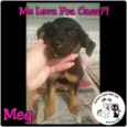MEG