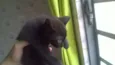 Tom
