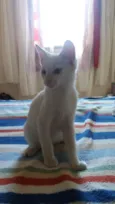OSÍRIS 