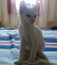 OSÍRIS 