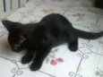 Tom