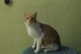 BOB