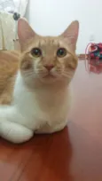 BOB