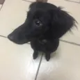 Ludmila 