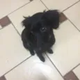 Ludmila 