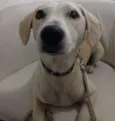 PRINCESA