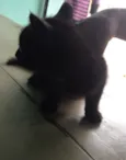 nao tem ainda