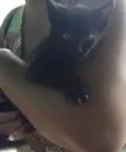 nao tem ainda