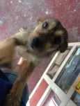 Larrissa e Barbinha