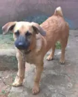 Marvin