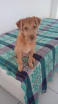 malu