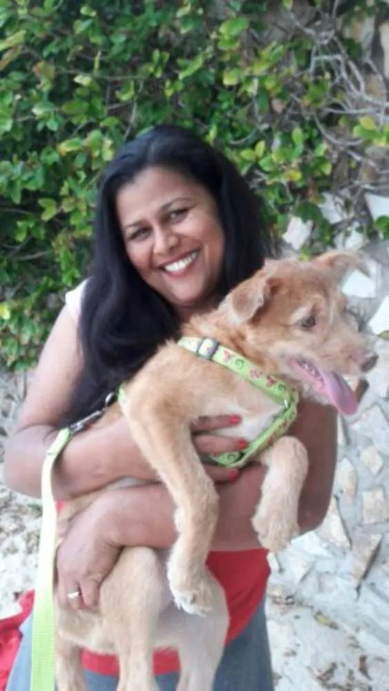 Cachorro ra a Cocker idade 2 a 6 meses nome malu