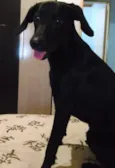 Lord