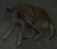 nao tem