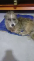 Não sei