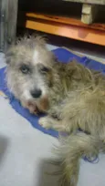 Não sei