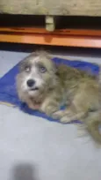 Não sei