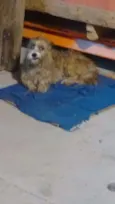 Não sei