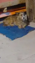 Não sei