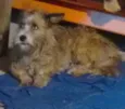 Não sei