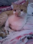 Leroy
