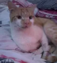Leroy