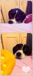 Lola