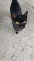 Rita 
