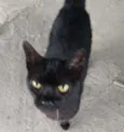 Rita 