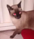 Nick