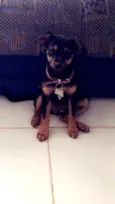 Laika