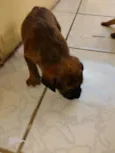 Não tem nome ainda