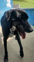 NEGÃO