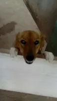 Jinx