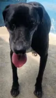 NEGÃO