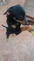 Vampeta