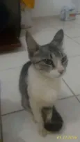 Não Tem